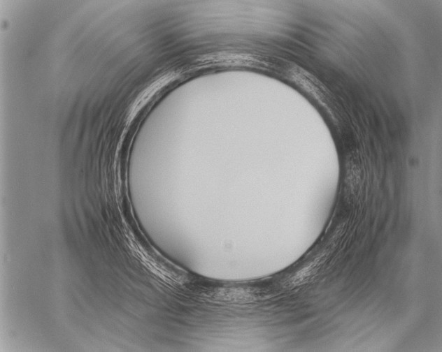 X0000058131082200510171330