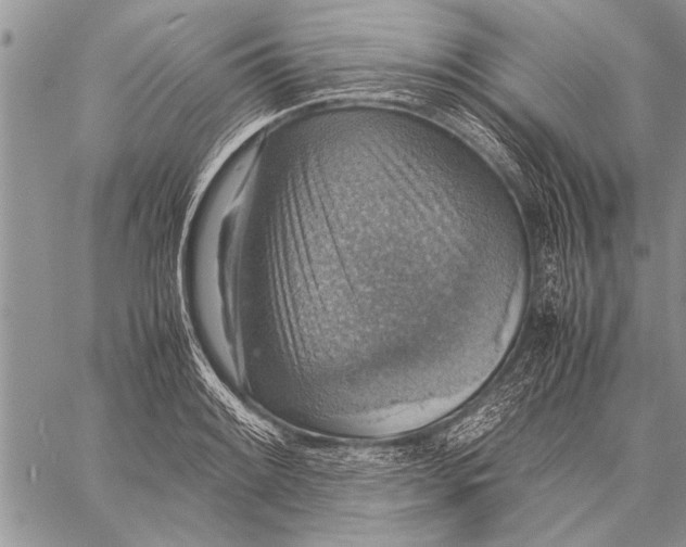 X0000058131084200510171330