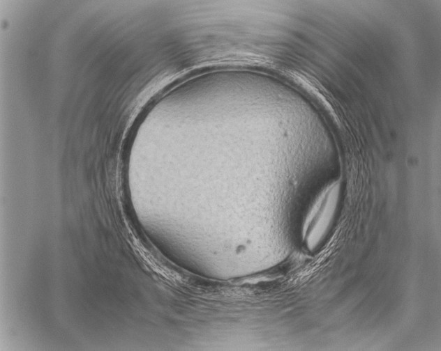 X0000058131085200510171330