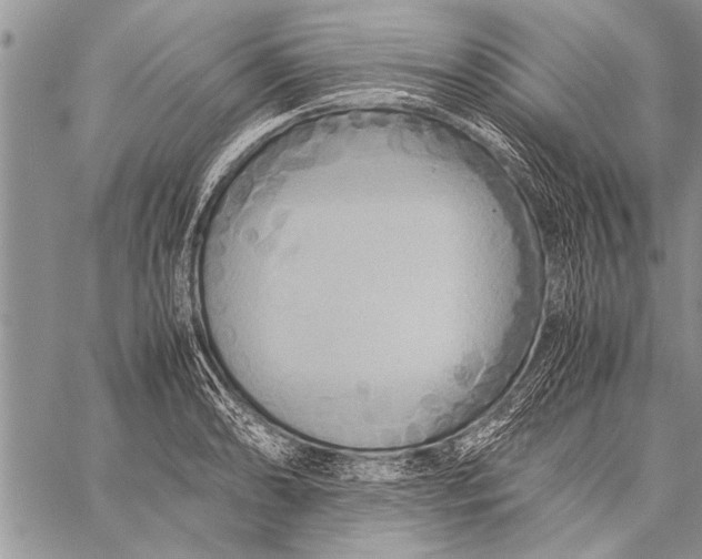 X0000058131086200510171330