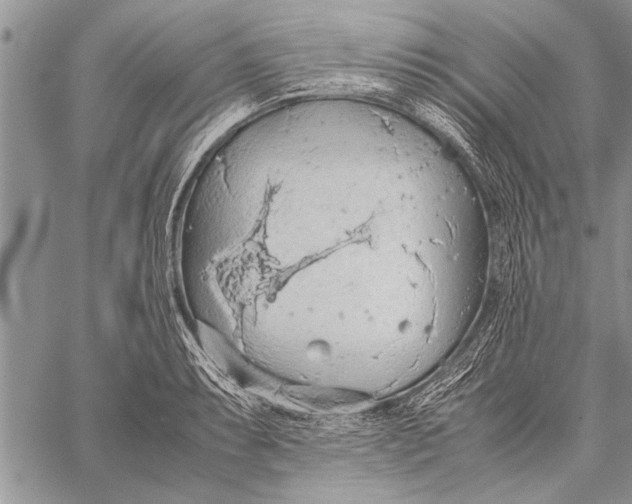 X0000058131087200510171330