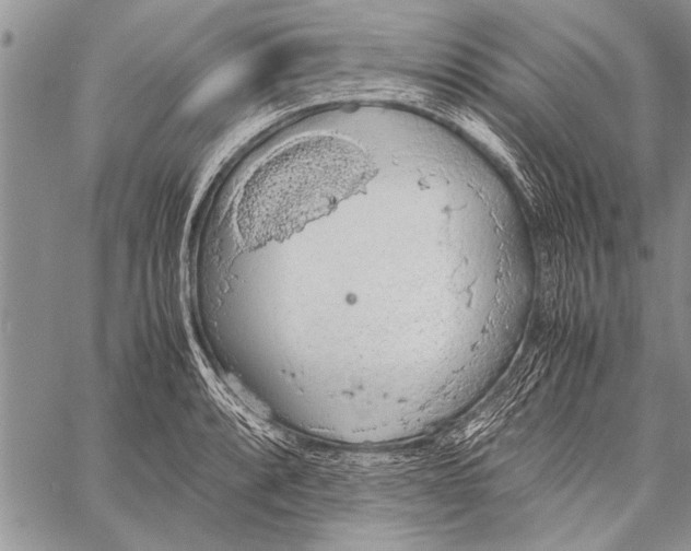 X0000058131088200510171330