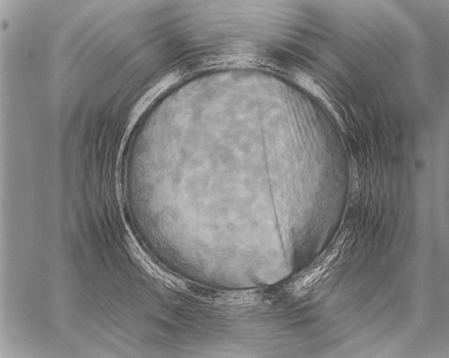 X0000058131090200510171330