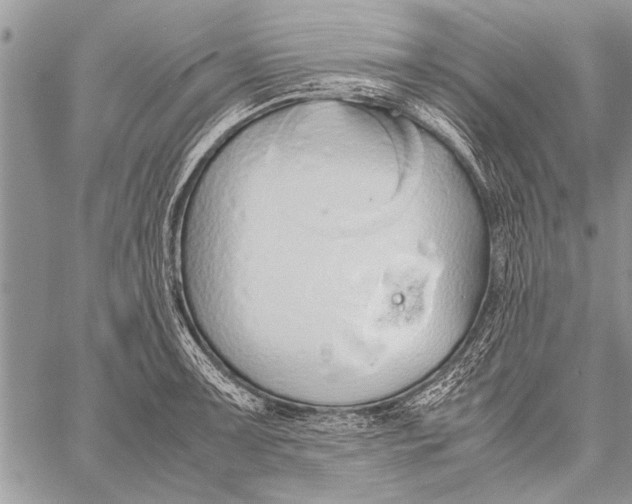 X0000058131091200510171330