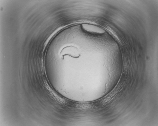 X0000058131092200510171330