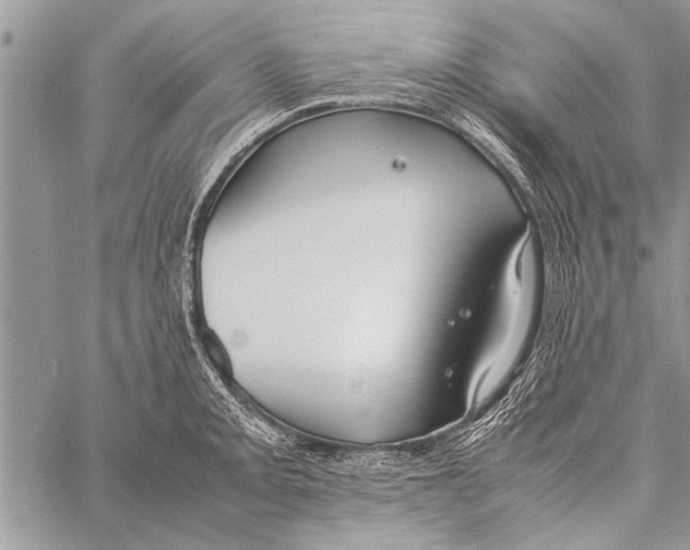 X0000058131093200510171330