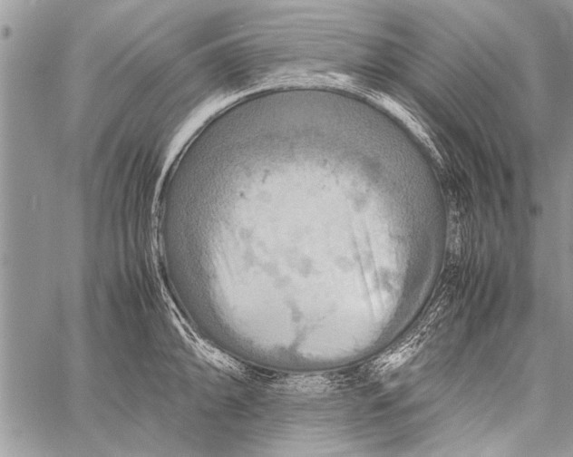 X0000058131094200510171330