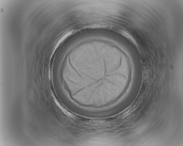 X0000058131095200510171330