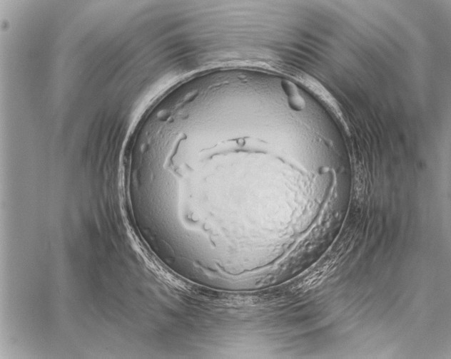 X0000058131096200510171330