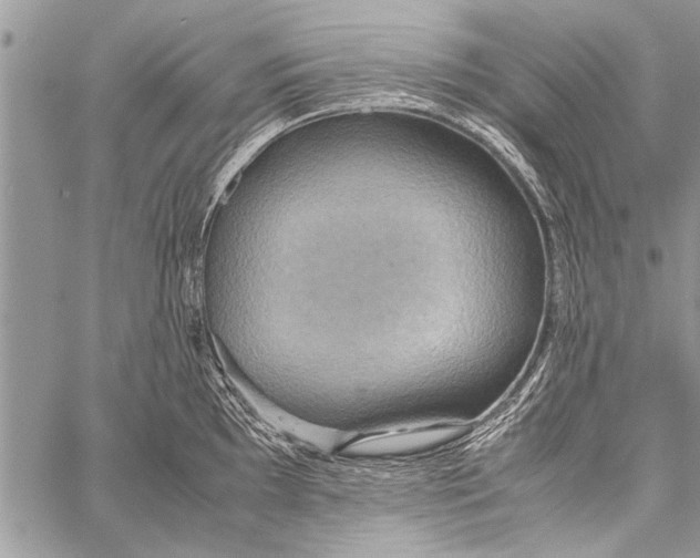 X0000058131097200510171330