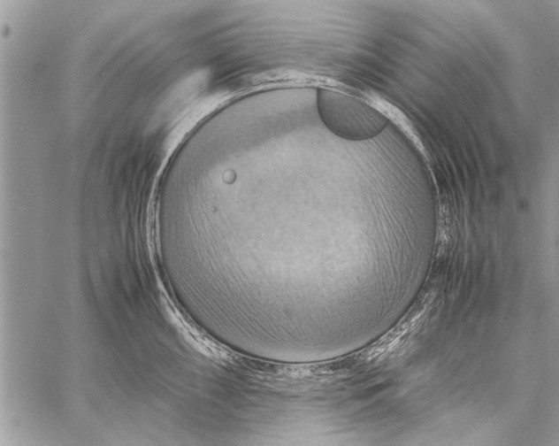 X0000058131098200510171330