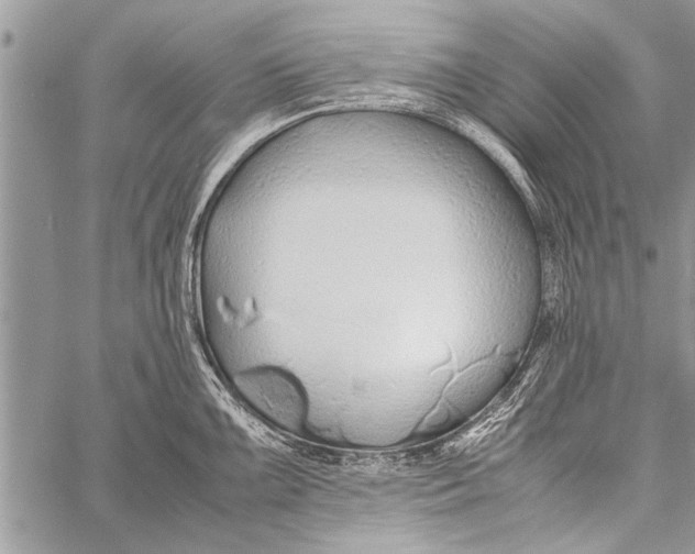 X0000058131099200510171330