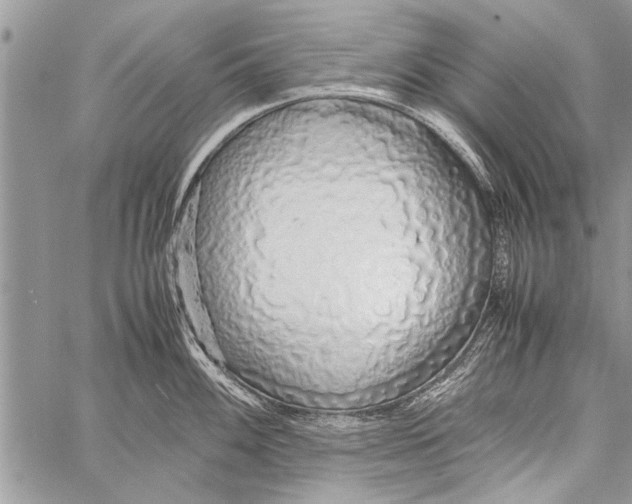 X0000058131100200510171330