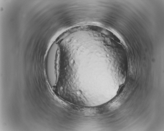 X0000058131102200510171330