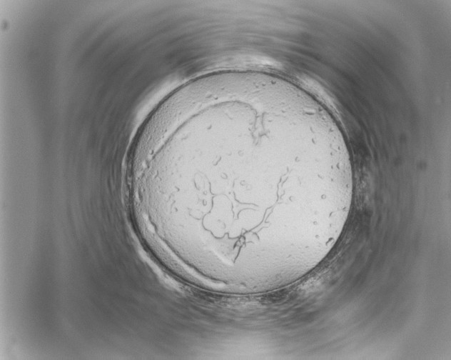 X0000058131103200510171330