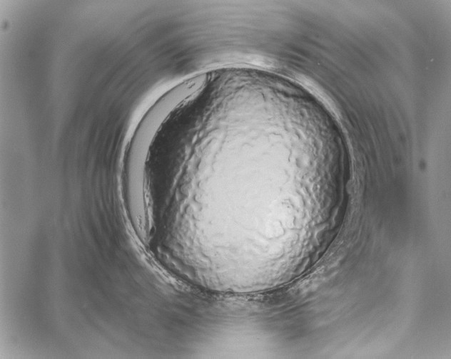 X0000058131104200510171330