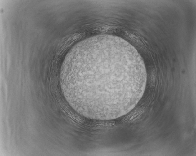 X0000058131105200510171329