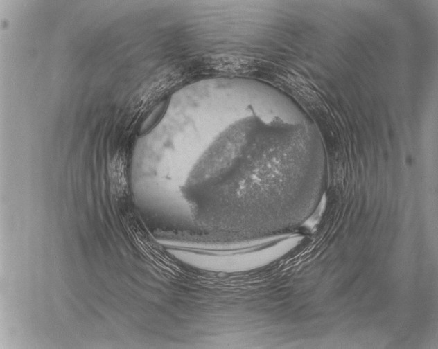 X0000058131106200510171329