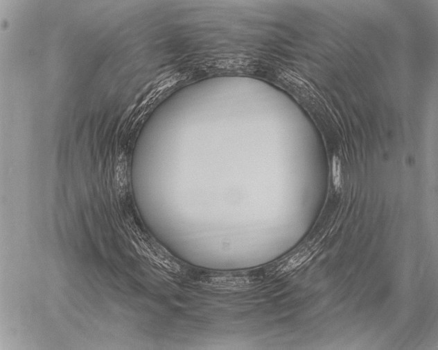 X0000058131107200510171329