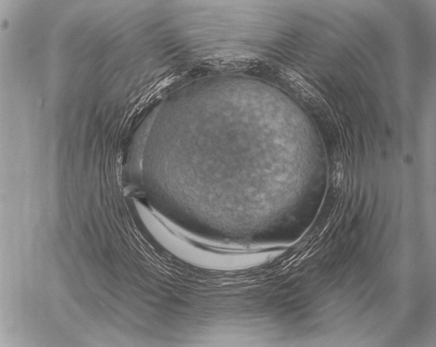 X0000058131108200510171329