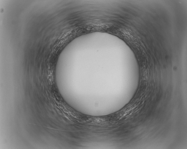 X0000058131109200510171329