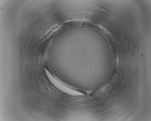 X0000058131110200510171329