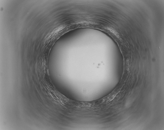 X0000058131111200510171329