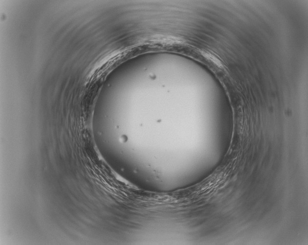 X0000058131112200510171329