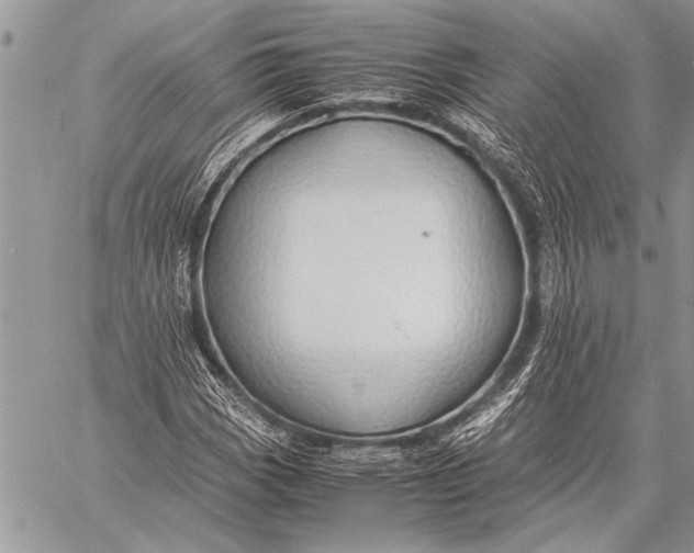 X0000058131113200510171329