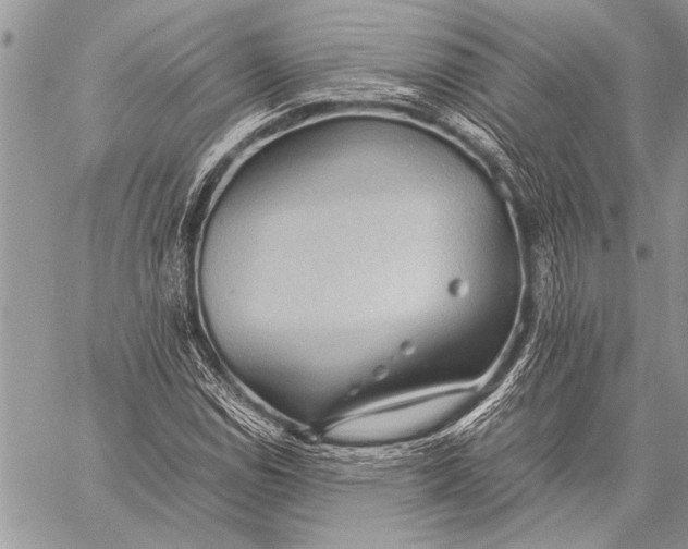 X0000058131114200510171329