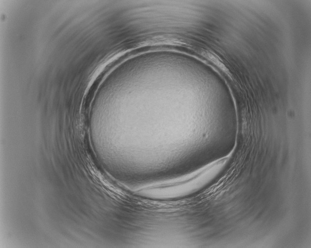 X0000058131116200510171329