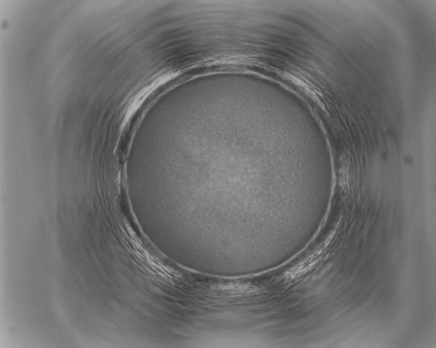 X0000058131117200510171329