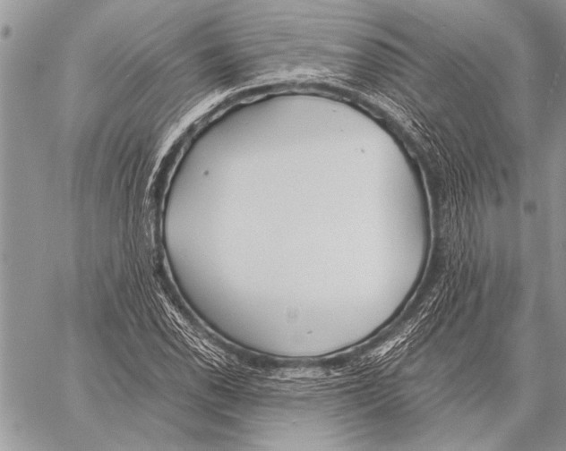 X0000058131118200510171329