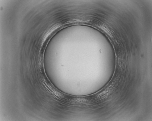 X0000058131119200510171329