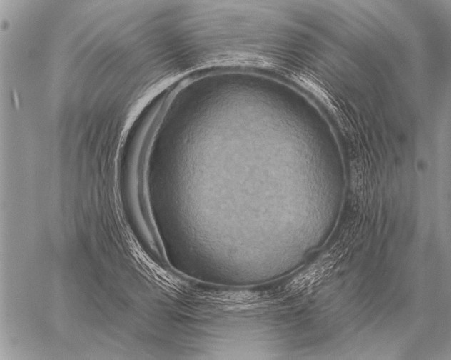 X0000058131120200510171329