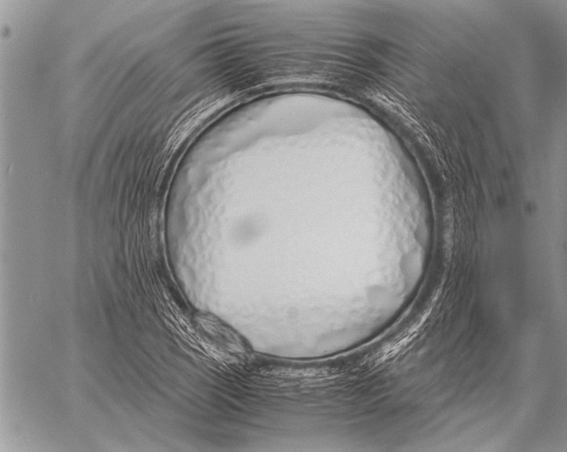 X0000058131121200510171329