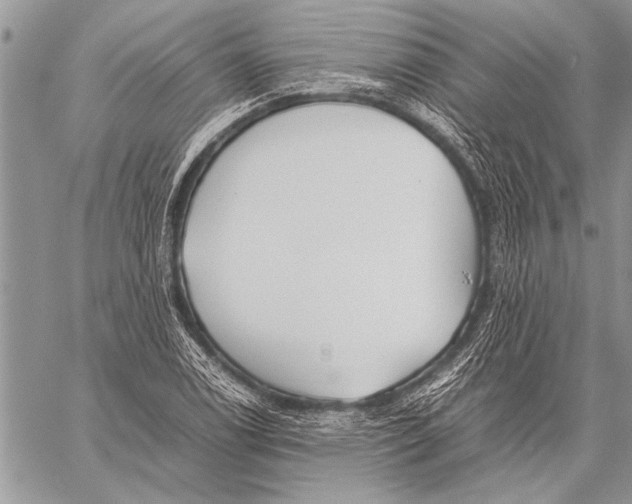 X0000058131122200510171329