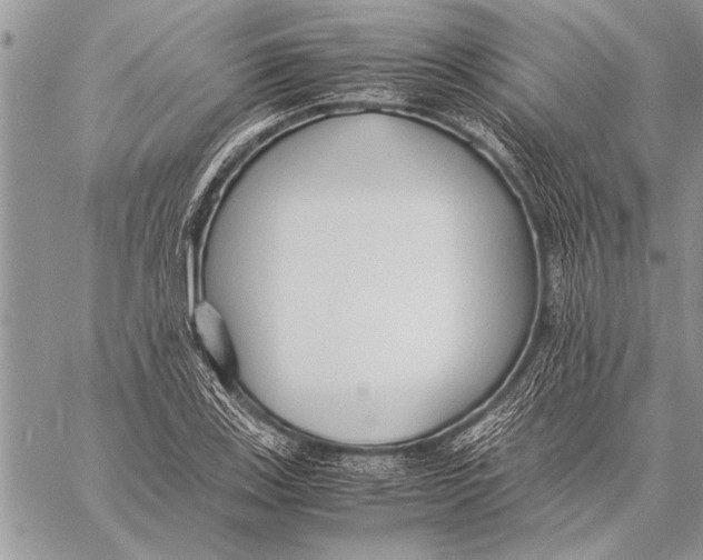 X0000058131123200510171329