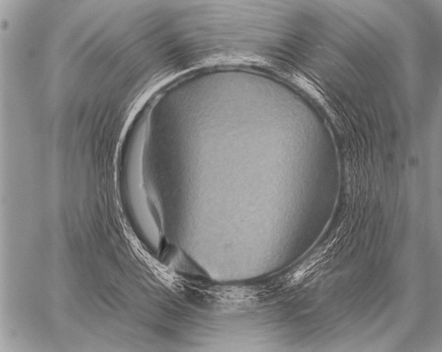 X0000058131124200510171329