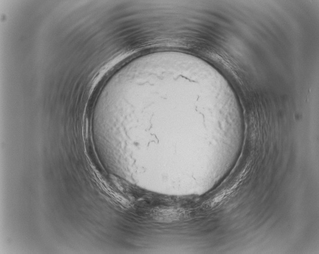 X0000058131125200510171329