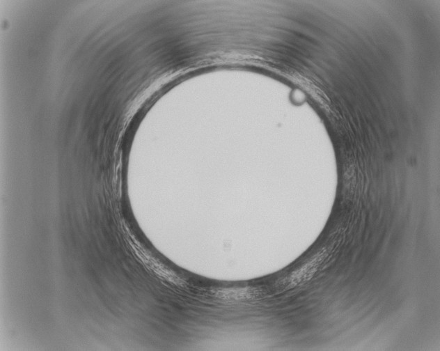 X0000058131126200510171329