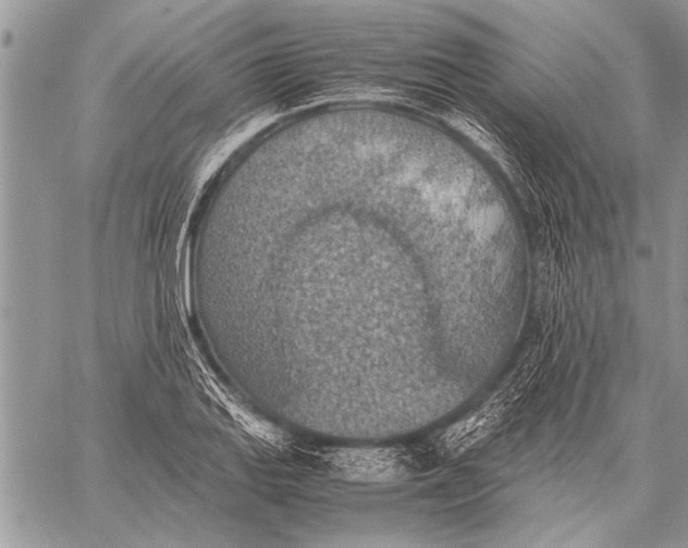 X0000058131127200510171329