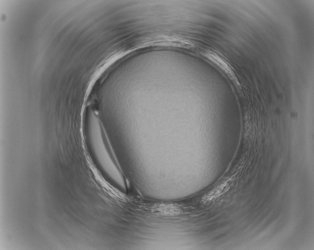 X0000058131128200510171329