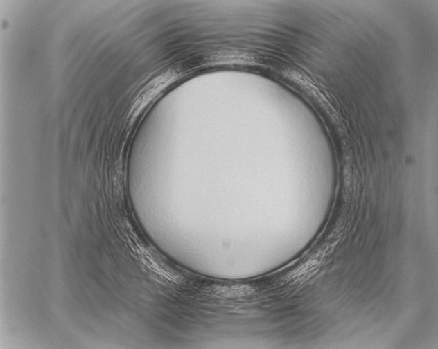 X0000058131129200510171329