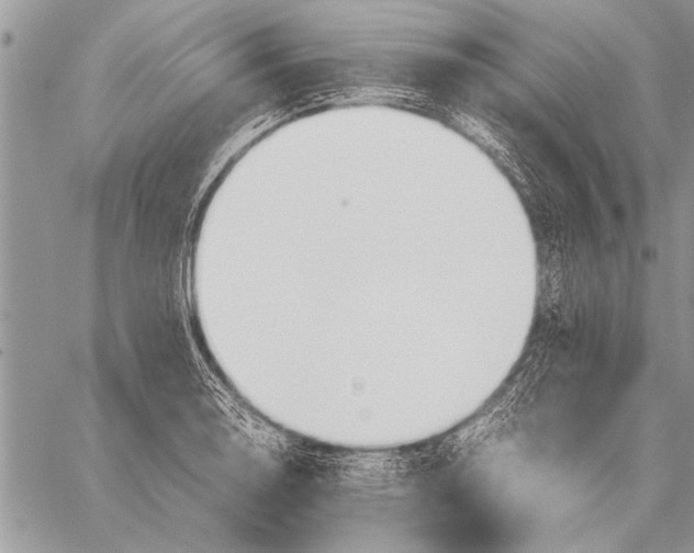 X0000058131130200510171329