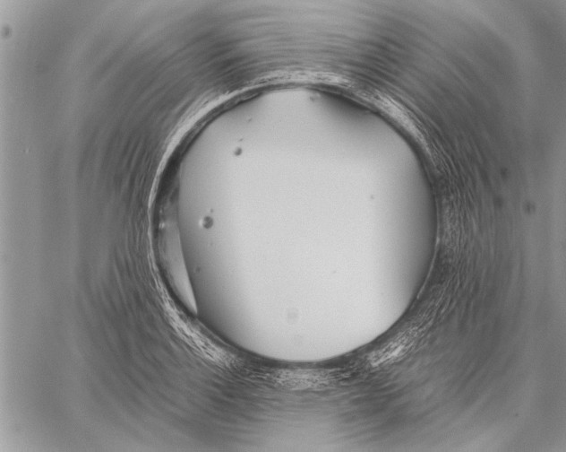 X0000058131132200510171329