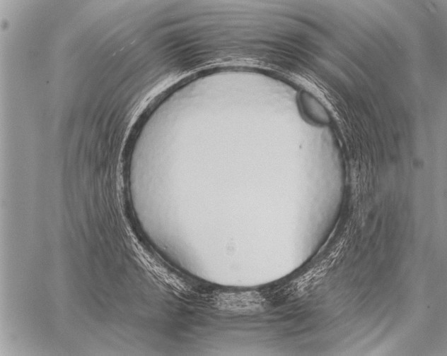 X0000058131133200510171329