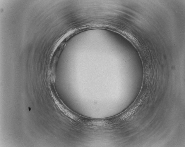 X0000058131134200510171329