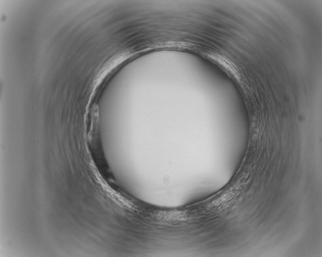 X0000058131135200510171329