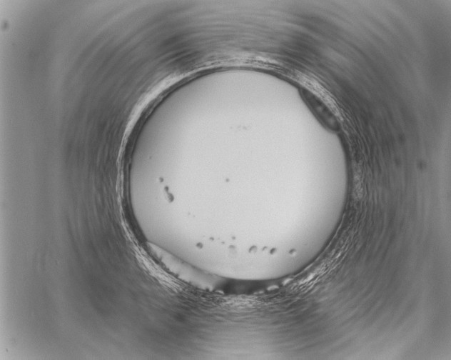 X0000058131136200510171329